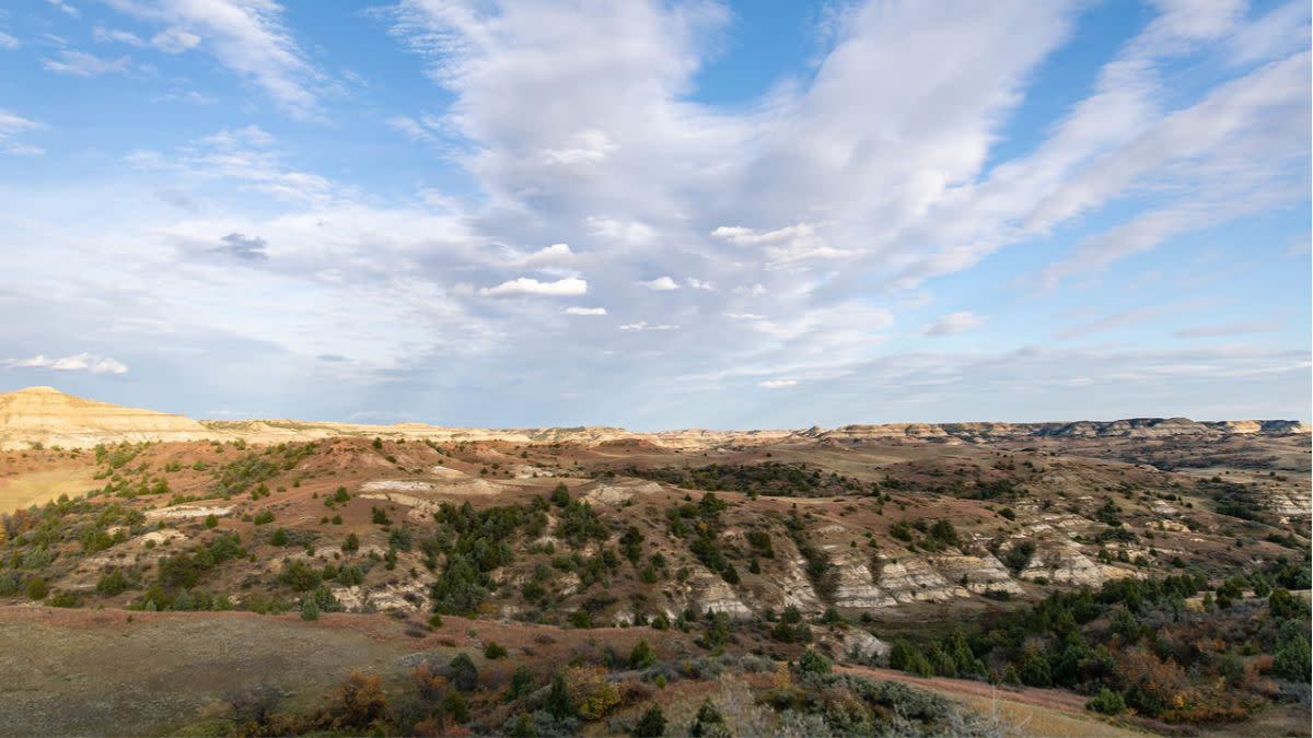 President Trump Tweets Support for Fully Funding Land and Water Conservation Fund