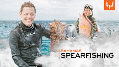 Bahamas Spearfishing