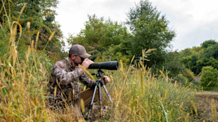 Hunter using spotting scope on tripod in tall grass near treeline