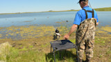 How to Waste Money By Having Your Hunting Dog Professionally Trained 