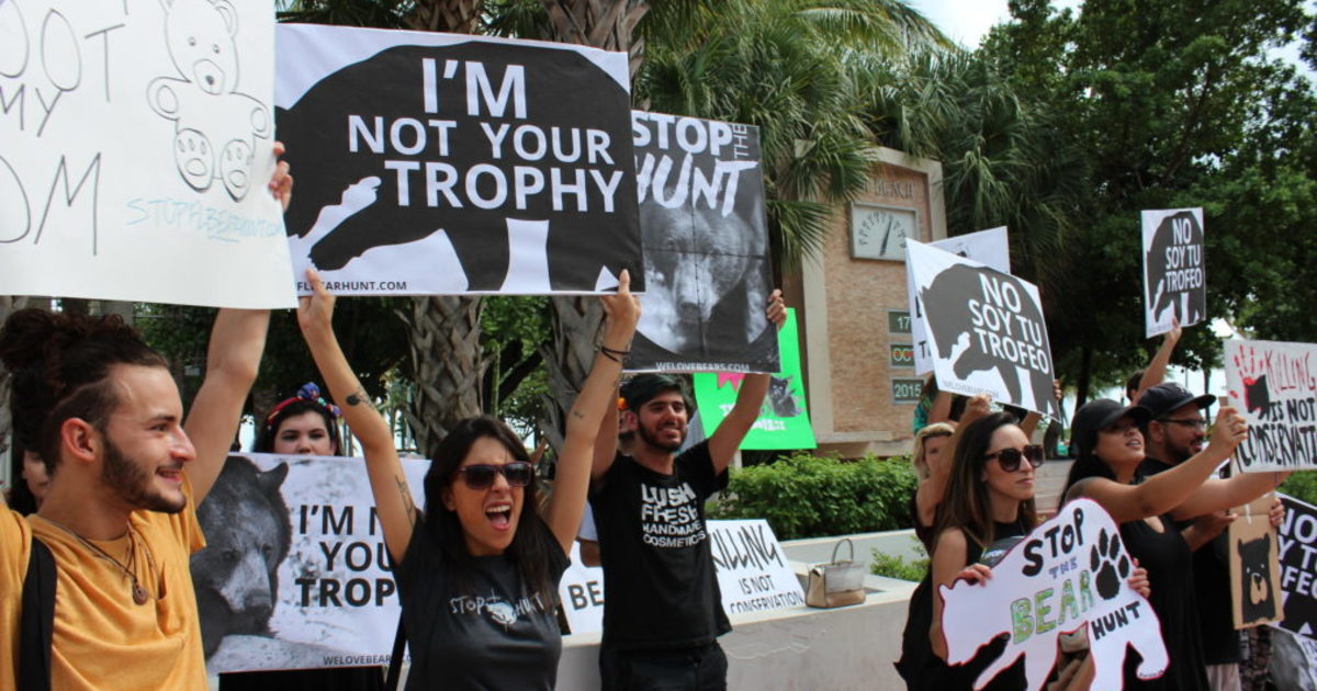 Anti-Hunting Activism Is Rising Across the United States https://images.ctfassets.net/pujs1b1v0165/7LZArgieBNyp5QKpW3RwrG/5aa98f01674fce5bbfecfadd01f1c1d6/anti-hunting-protest-e1548810543303.jpg?fit=fill&h=630&w=1200