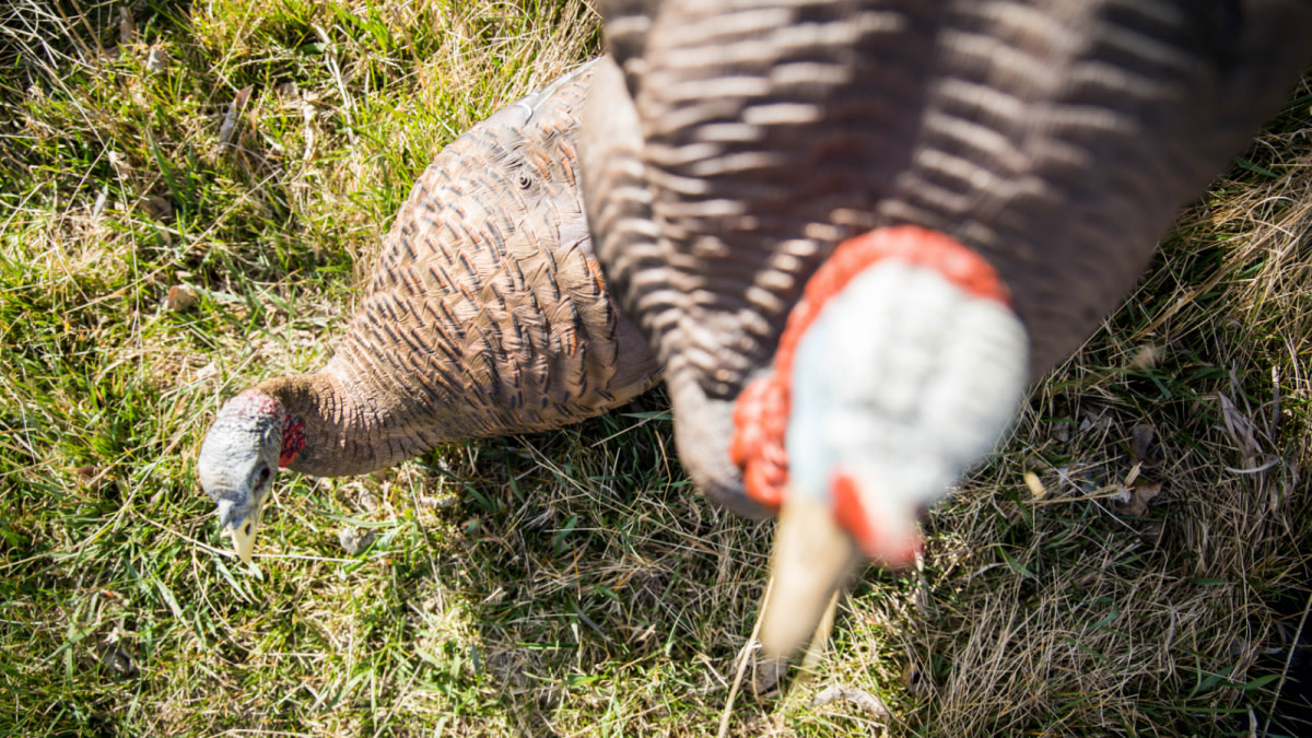 3 Underrated Turkey Decoy Setups