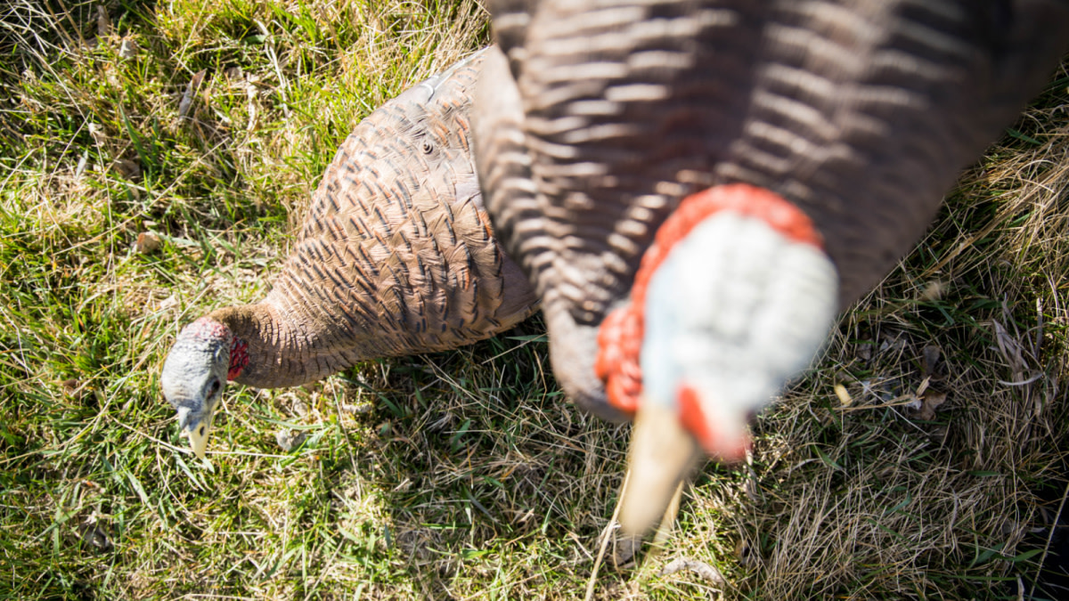 3 Underrated Turkey Decoy Setups | MeatEater Hunting