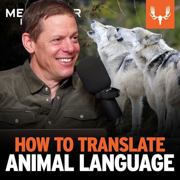 Host smiling into microphone beside two howling wolves; text "HOW TO TRANSLATE ANIMAL LANGUAGE"
