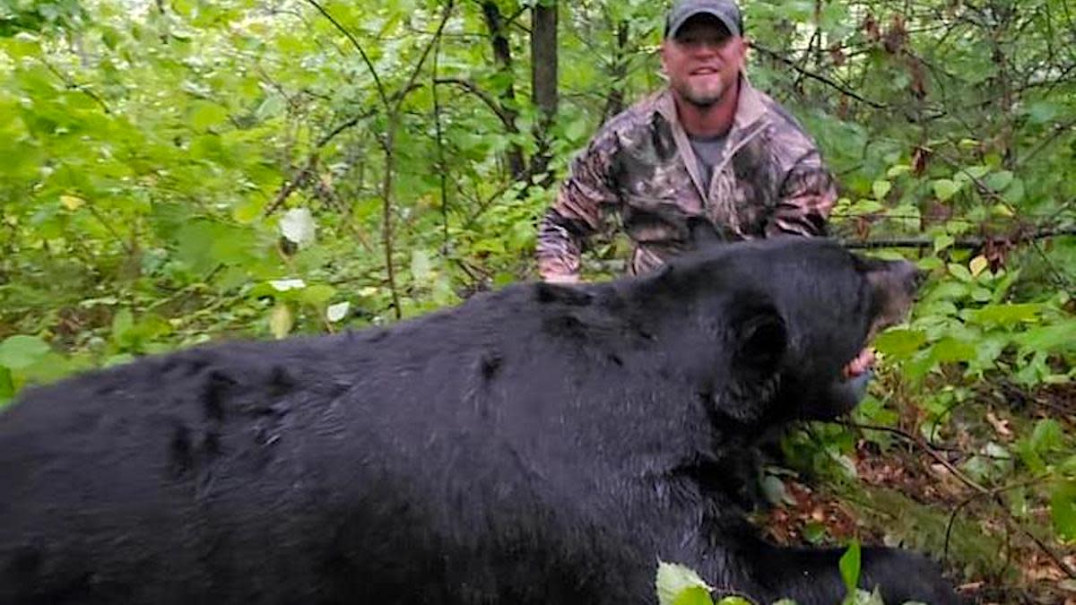 Minnesota Man Sentenced to Prison for Poaching Giant Black Bear