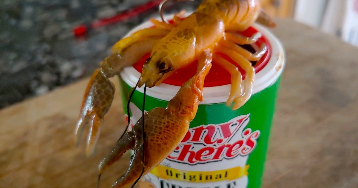 Bass-ic Instinct: Ultra-Realistic Baits are Overrated | MeatEater Fishing Bass-ic Instinct: Ultra-Realistic Baits are Overrated | MeatEater Fishing