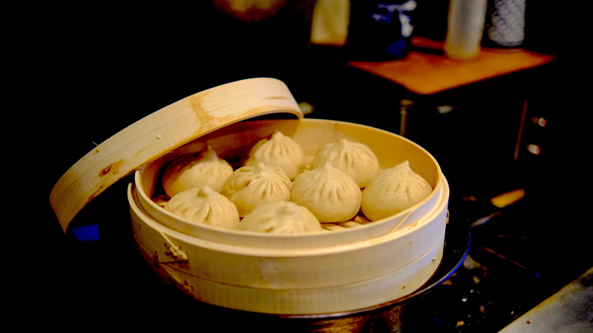 Venison Dumplings