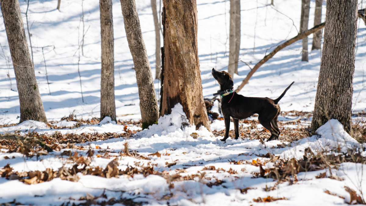 This Hunter Access Controversy is Going Viral on Social Media