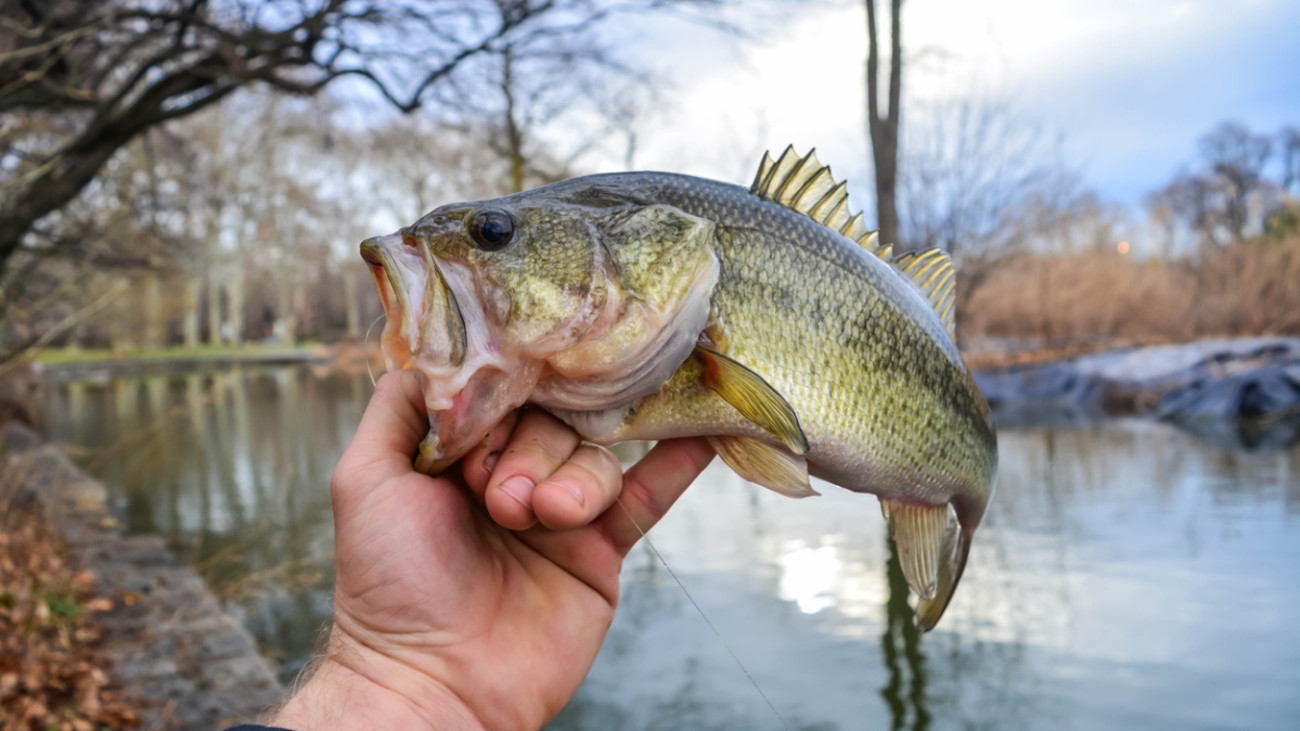 7 Wrong Ways to Hold a Fish