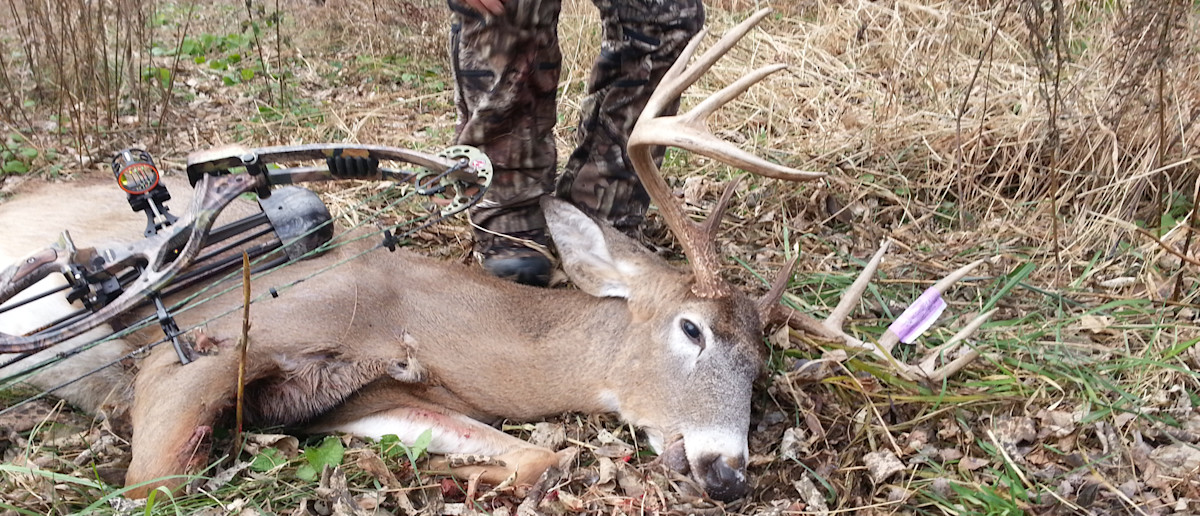 DIY Deer Hunter Profiles: Nick Wolf | MeatEater Wired to Hunt