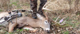 DIY Deer Hunter Profiles: Nick Wolf