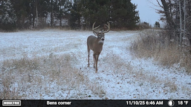 How Trail Cameras Made Me A More Patient Buck Hunter 