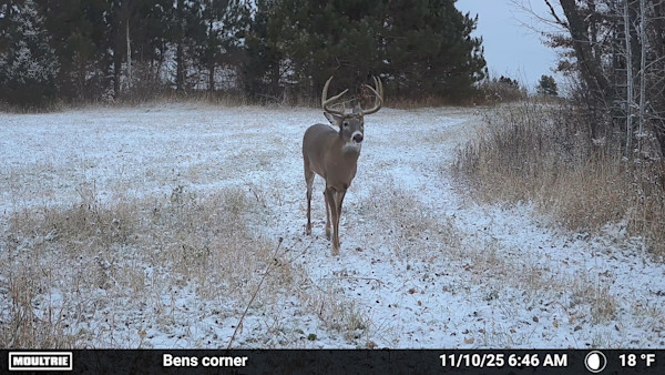 How Trail Cameras Made Me A More Patient Buck Hunter 