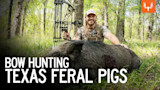 Carnitas Hog | Bow Hunting Texas Feral Pigs