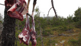 Tips for Handling Wild Game Meat in the Field