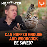 Host speaking into microphone with ruffed grouse and woodcock; text "CAN RUFFFED GROUSE AND WOODCOCK BE SAVED?"