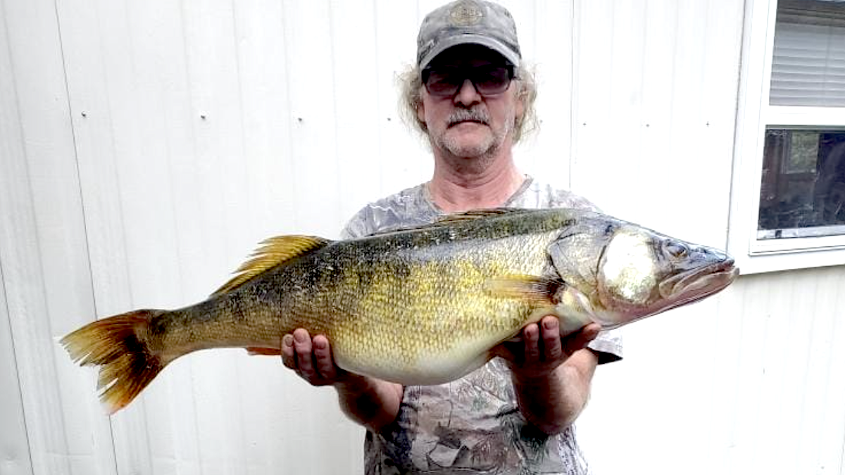 Pennsylvania Angler To Break 40-Year-Old Walleye Record