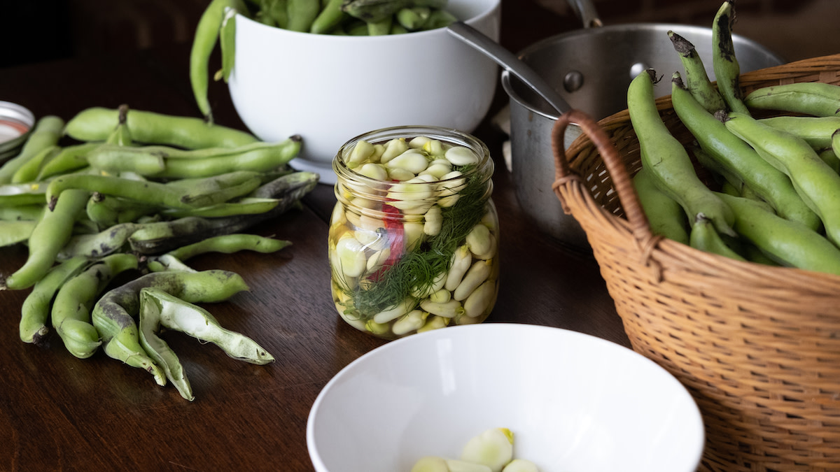 Pickled Fava Beans