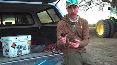 How to Package a Duck for Travel and the Freezer