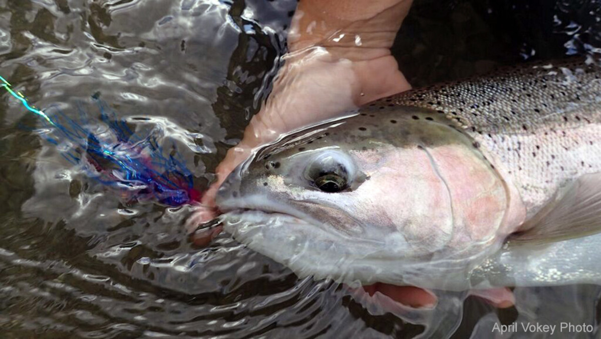 Fly Tying Tutorial: The Sugar Pop