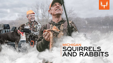 Michigan Squirrels and Rabbits