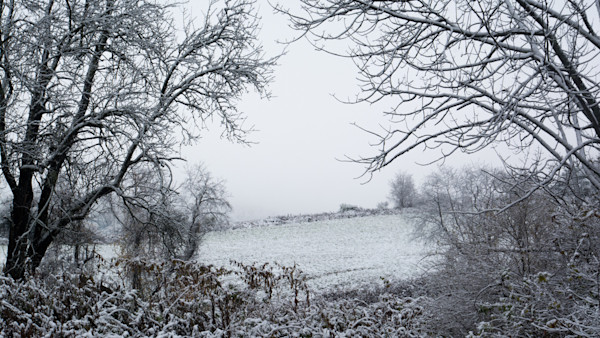 New York Man Dies in Thanksgiving Hunting Accident