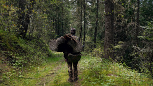 Avoid These Mistakes to Kill Your First Turkey