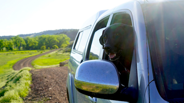 President Trump Signs the Great American Outdoors Act into Law