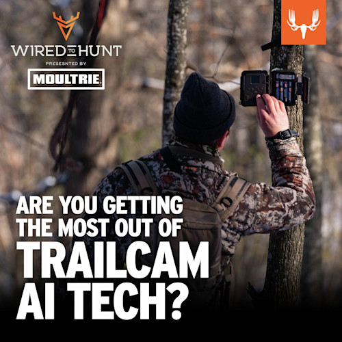 Hunter adjusts a trail camera on a tree; overlay text "WIRED TO HUNT presented by MOULTRIE"