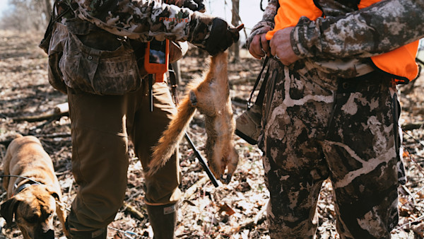 How to Hunt Spring Squirrels