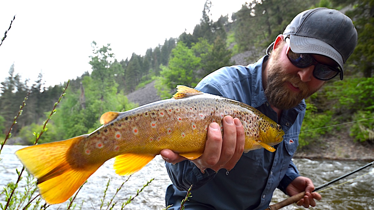 How to Keep Catching Fish During Spring Runoff Floods MeatEater