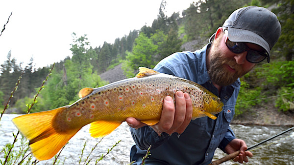 How to Keep Catching Fish During Spring Runoff Floods