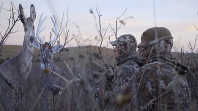 Decoying Great Plains Whitetails