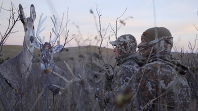 Decoying Great Plains Whitetails