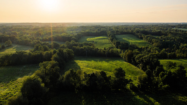 How to Improve Your Whitetail E-Scouting