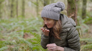 Truffle Hunting