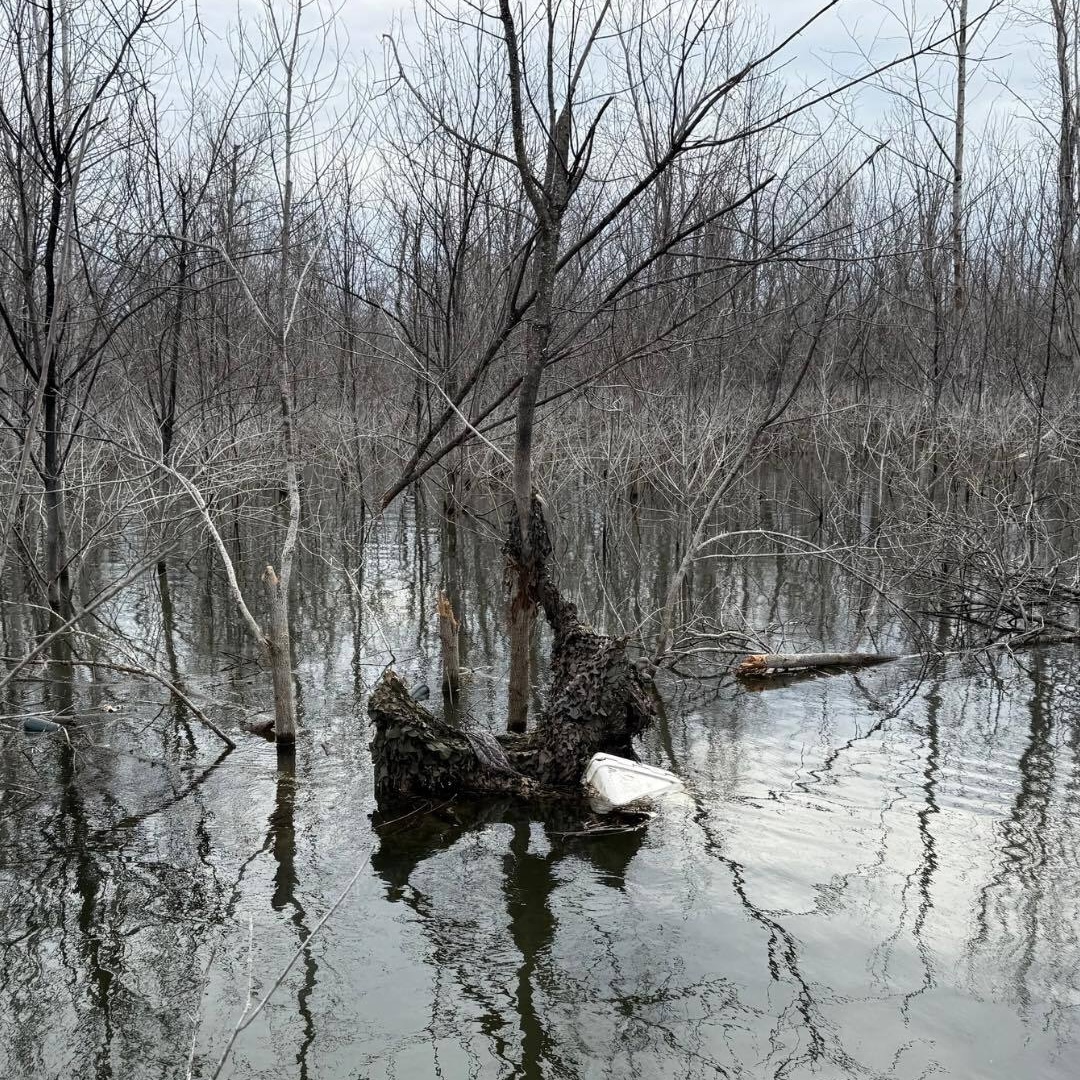 sunk duck boat