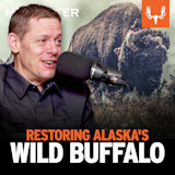 Ep. 823: Restoring Alaska's Wild Buffalo