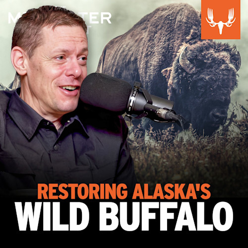 Ep. 823: Restoring Alaska's Wild Buffalo