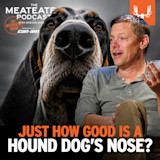 Close-up hound nose and man; text: THE MEATEATER PODCAST — JUST HOW GOOD IS A HOUND DOG'S NOSE?