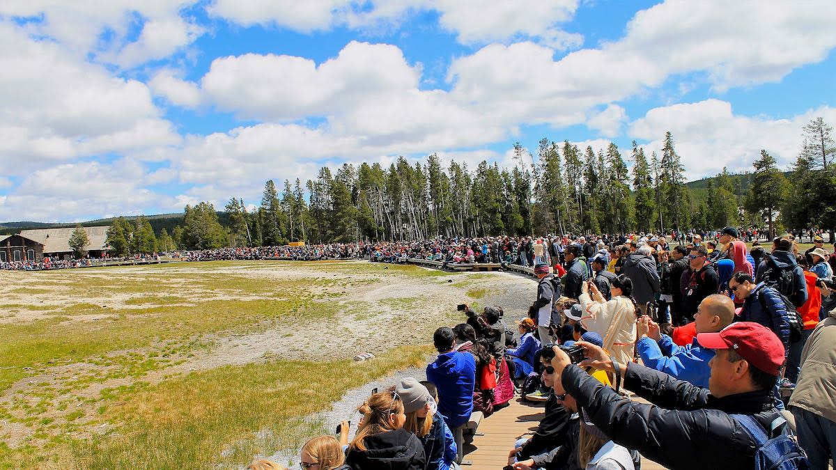 Drunk Tourist Jailed for Bad Behavior in Yellowstone