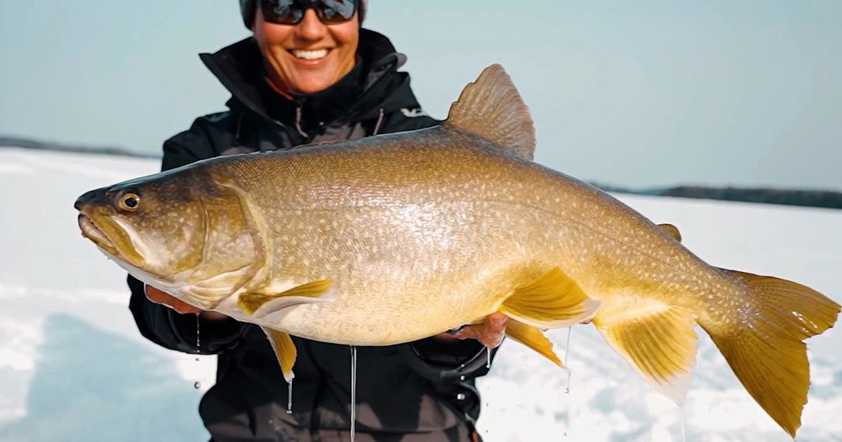 Romphy Fish The Best Techniques for Catching Trophy Fish Through the Ice ...
