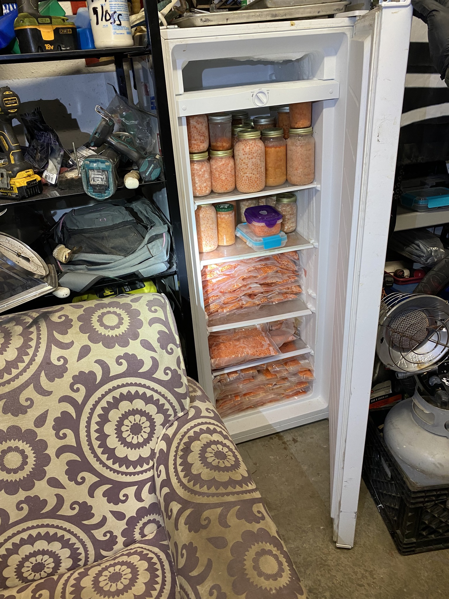 freezer of roe