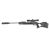 Gamo Swarm Magnum 10X Gen3i - .22 Cal Air Rifle