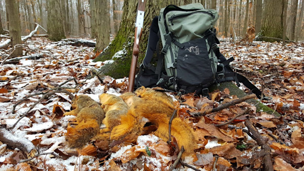 Gear Tips for Hunting Small Game