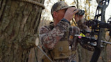 Hunter in camouflage using binoculars from a tree stand, compound bow and arrow visible