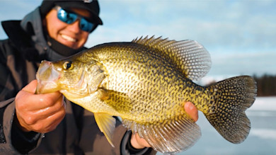 Livescope Crappies