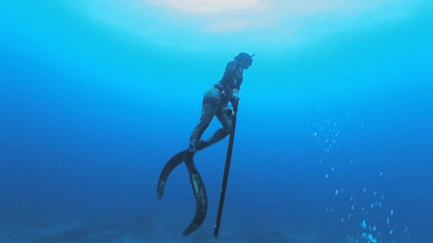 Spearfishing the Big Island