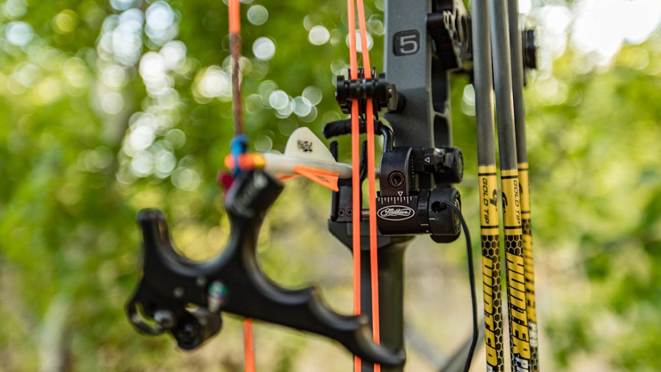 5 Scenarios When Bow Sights Work Best