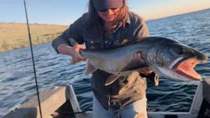 No fish tale. Record burbot caught in Lake Michigan